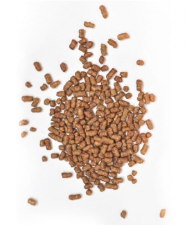 Натуральный гречишный чай (гранулированный) 100 грамм IZUMI фото №3