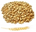 Пшеница органическая (для проращивания) на развес, 100 грамм Organic&Natural фото №1